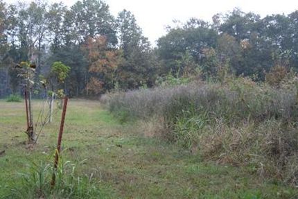 Farm and Ranch in Morehouse Parish, Louisiana