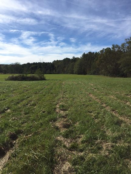 Farm and Ranch in Jefferson County, Alabama