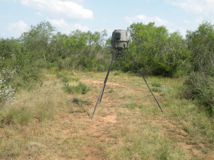 Land in Duval County, Texas