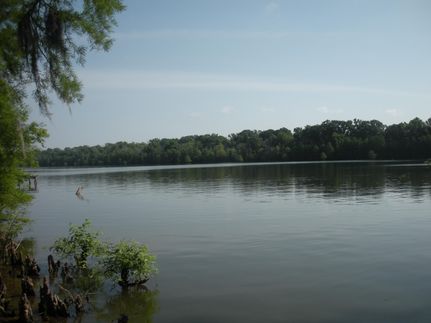 Horse Property in Catahoula Parish, Louisiana