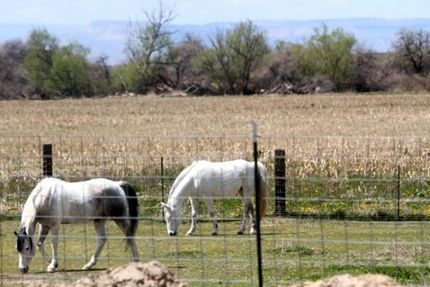 Land in Canyon County, Idaho