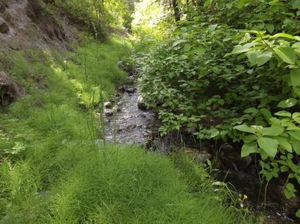 Land in Baker County, Oregon