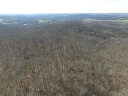 Hunting Property in Butler County, Kentucky