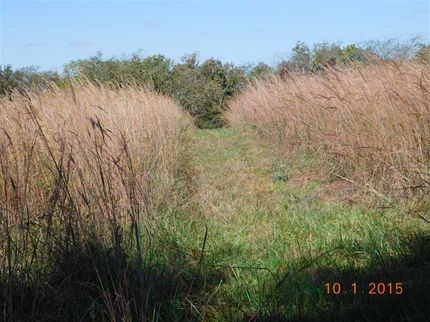 Farm and Ranch in Caldwell County, Missouri