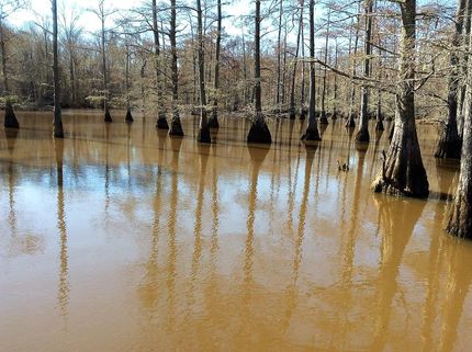Recreational Property in Hardeman County, Tennessee