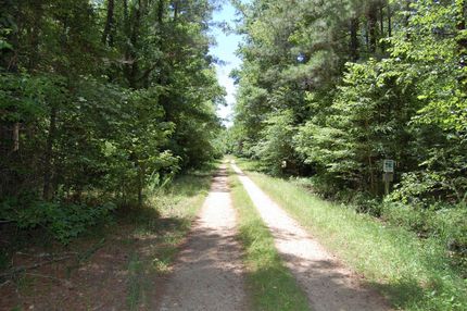 Timberland Property in Southampton County, Virginia