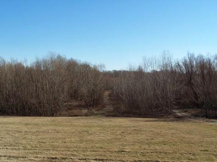 Farm and Ranch in East Carroll Parish, Louisiana