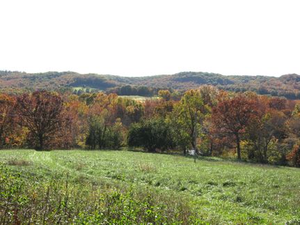 House in Taney County, Missouri