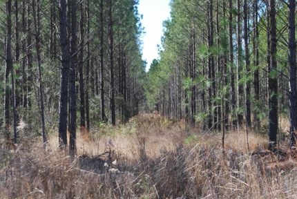Farm and Ranch in Horry County, South Carolina
