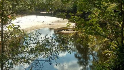 Waterfront Property in Ware County, Georgia