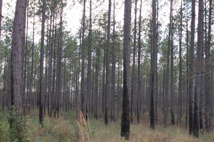 Recreational Property in Mobile County, Alabama
