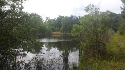 Riverfront Property in Pearl River County, Mississippi