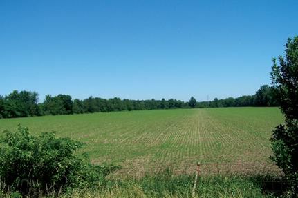 Farm and Ranch in St Joseph County, Indiana