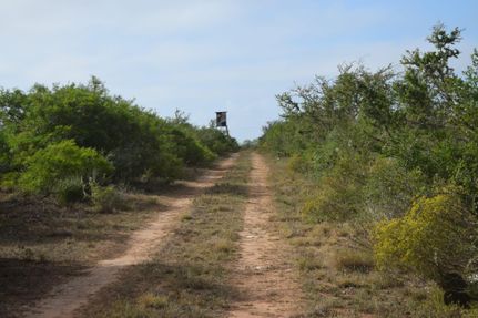 Farm and Ranch in Duval County, Texas
