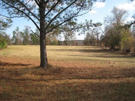 Land in Fairfield County, South Carolina