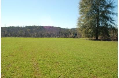 Farm and Ranch in Bullock County, Alabama