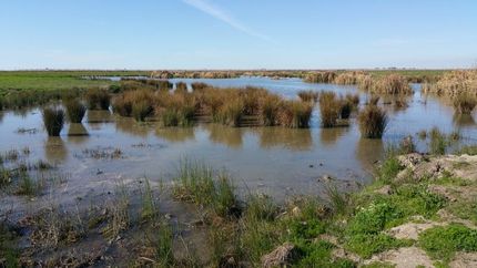 Recreational Property in Madera County, California