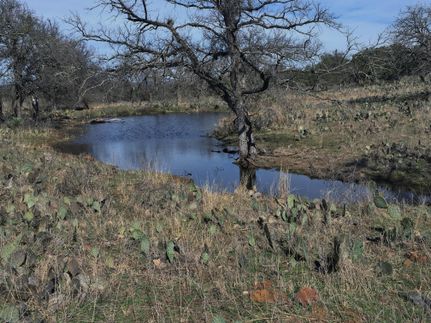 Timberland Property in McCulloch County, Texas