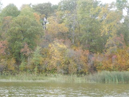 Waterfront Property in Bottineau County, North Dakota