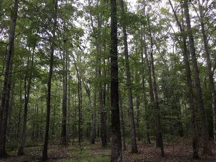 Recreational Property in Russell County, Alabama