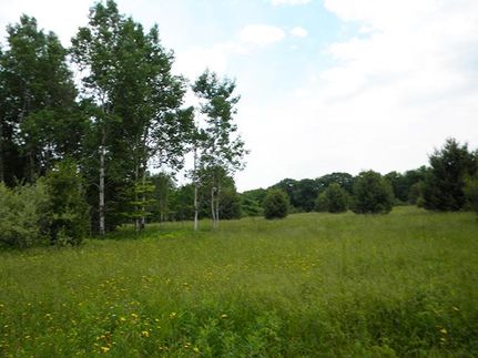 Timberland Property in Cortland County, New York