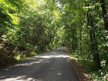 Timberland Property in Morgan County, Tennessee