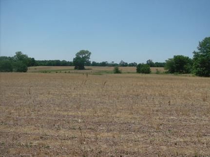 Farm and Ranch in Bartholomew County, Indiana