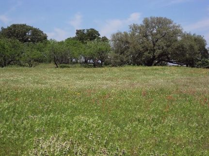 Farm and Ranch in Wilson County, Texas