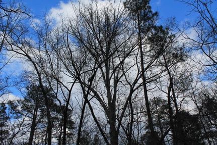 Commercial Property in Moore County, North Carolina