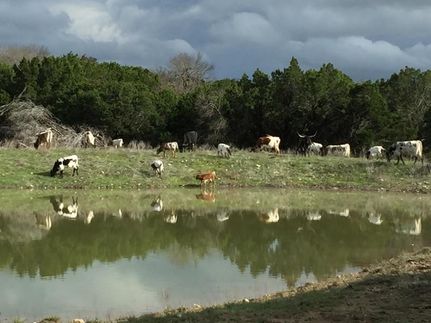 Recreational Property in Lampasas County, Texas
