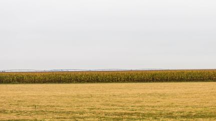 Undeveloped Land in Hansford County, Texas