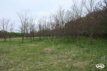 Farm and Ranch in Mower County, Minnesota