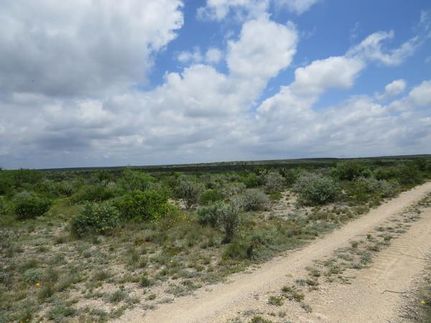 Undeveloped Land in Val Verde County, Texas