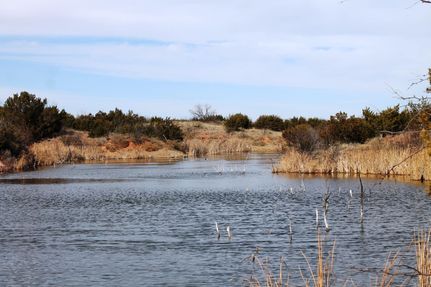 Land in Childress County, Texas