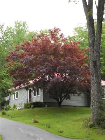 Recreational Property in Sullivan County, New York