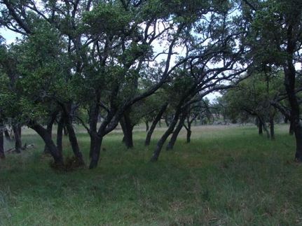 Recreational Property in Gillespie County, Texas