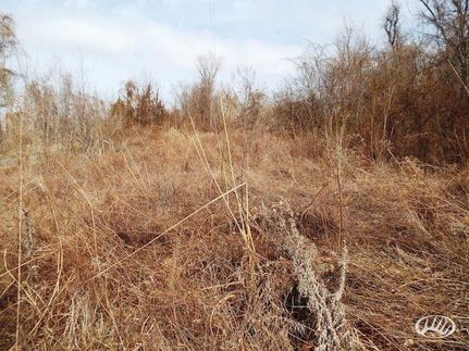 Land in Fulton County, Kentucky
