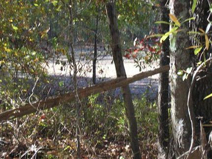 Land in Ouachita Parish, Louisiana