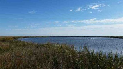 Waterfront Property in Camden County, Georgia