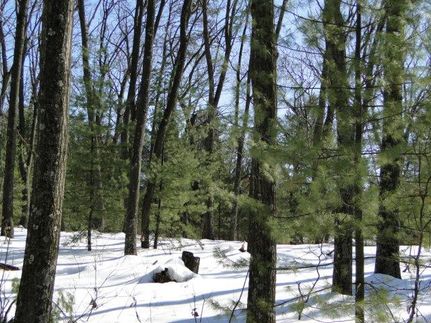 Homesite in Adams County, Wisconsin