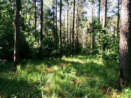 Farm and Ranch in Clarke County, Alabama