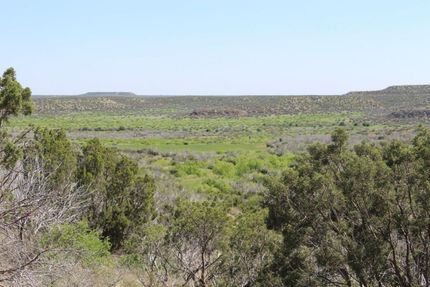 Farm and Ranch in King County, Texas