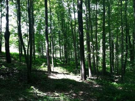 Land in Sullivan County, Pennsylvania