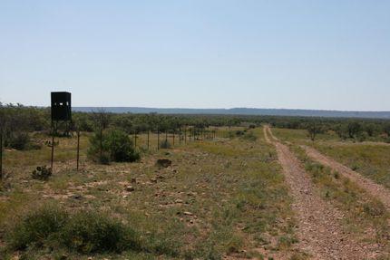 Hunting Property in McCulloch County, Texas