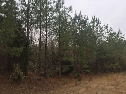 Farm and Ranch in Moore County, North Carolina