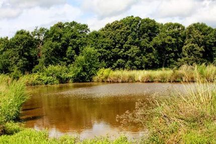 Land in Pike County, Mississippi