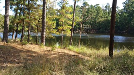 Lakefront Property in Fayette County, Texas