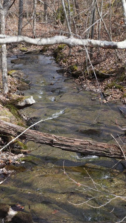 Land in Cumberland County, Tennessee