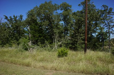 Undeveloped Land in Burleson County, Texas