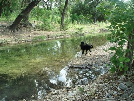 Farm and Ranch in Real County, Texas